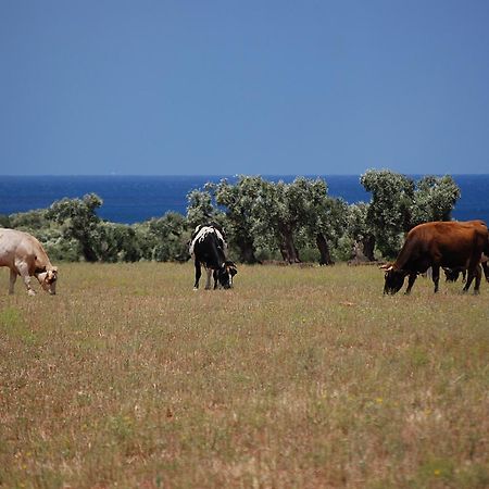 Masseria Palombara Grande Ostuni Eksteriør bilde